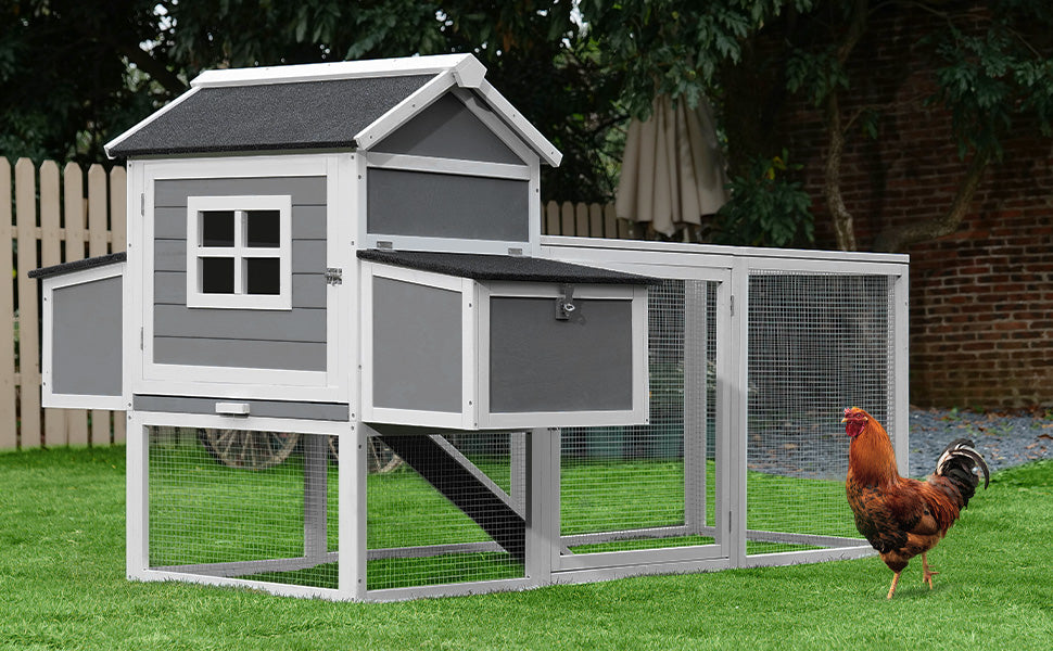 cheap chicken coop