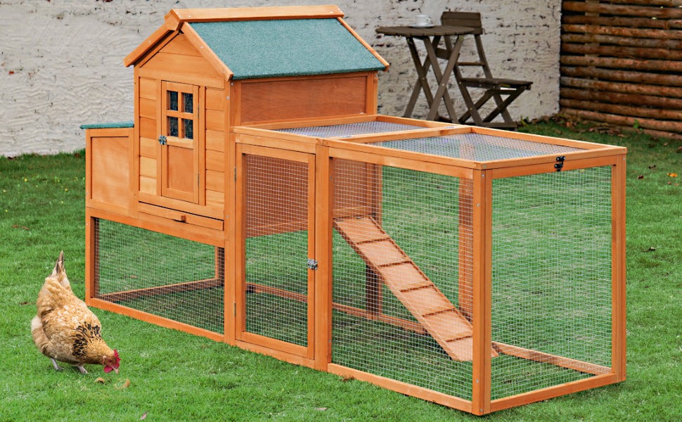 inside chicken coop