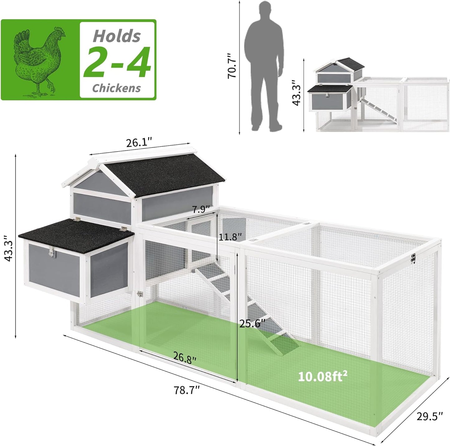 cute chicken coop