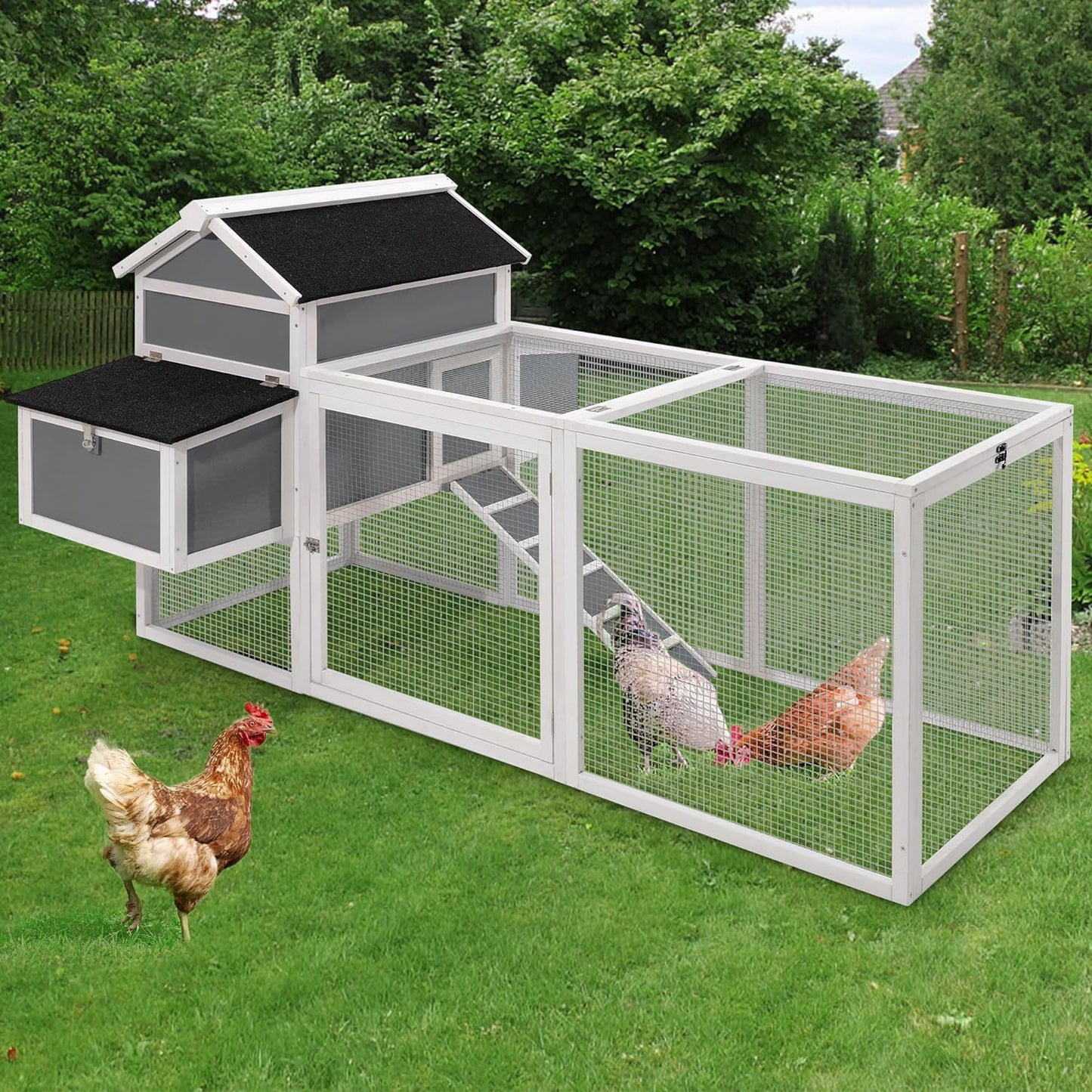 chicken coop