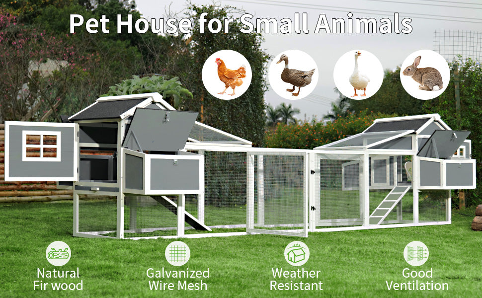backyard chicken coop