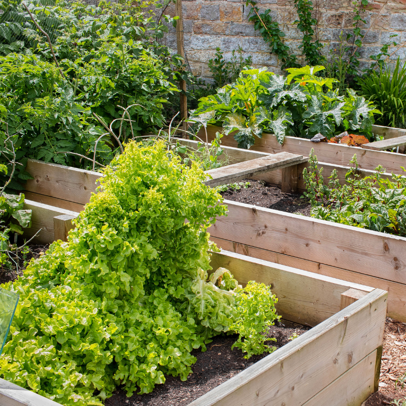 Choosing the Right Materials for Your Garden Beds