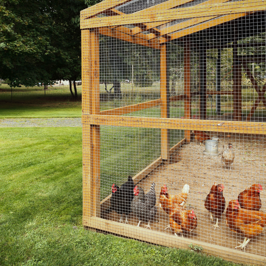 Comparing Chicken Coop Materials: Which One Is Right for Your Flock?