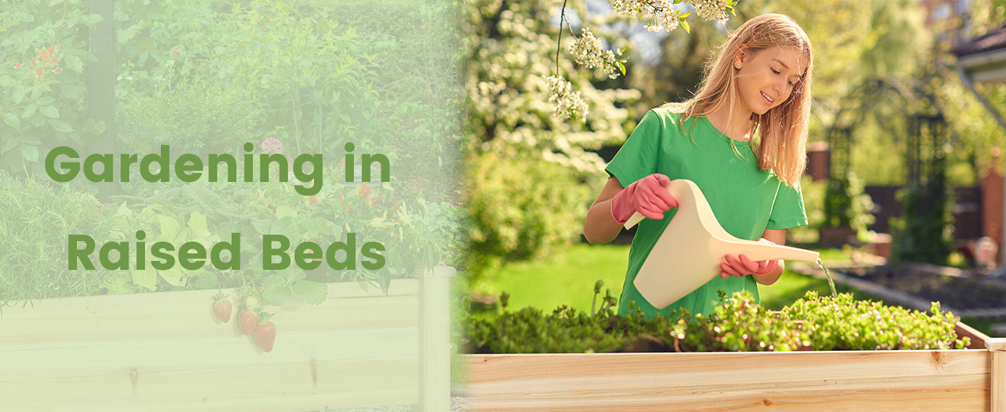 vego raised bed