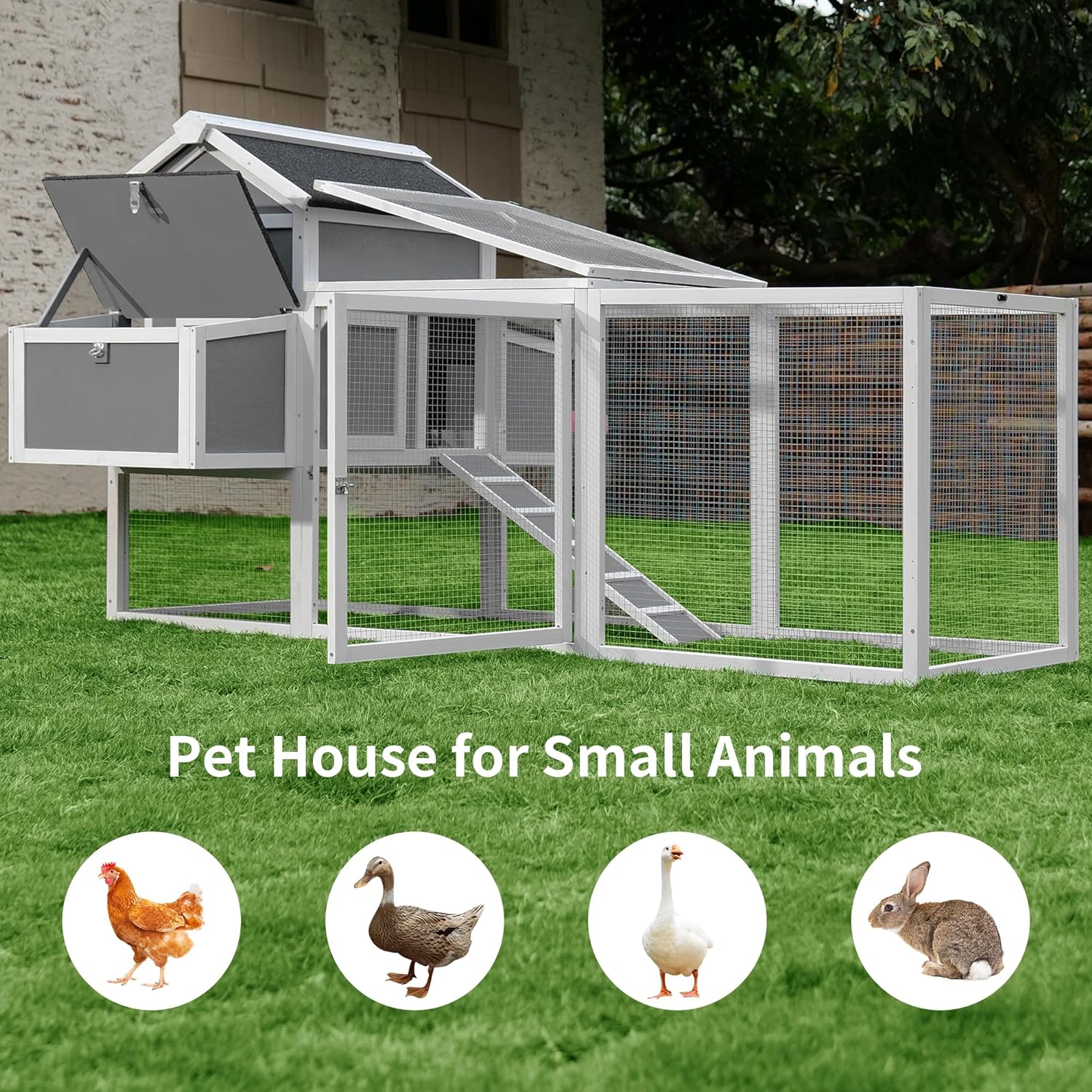 best chicken coops