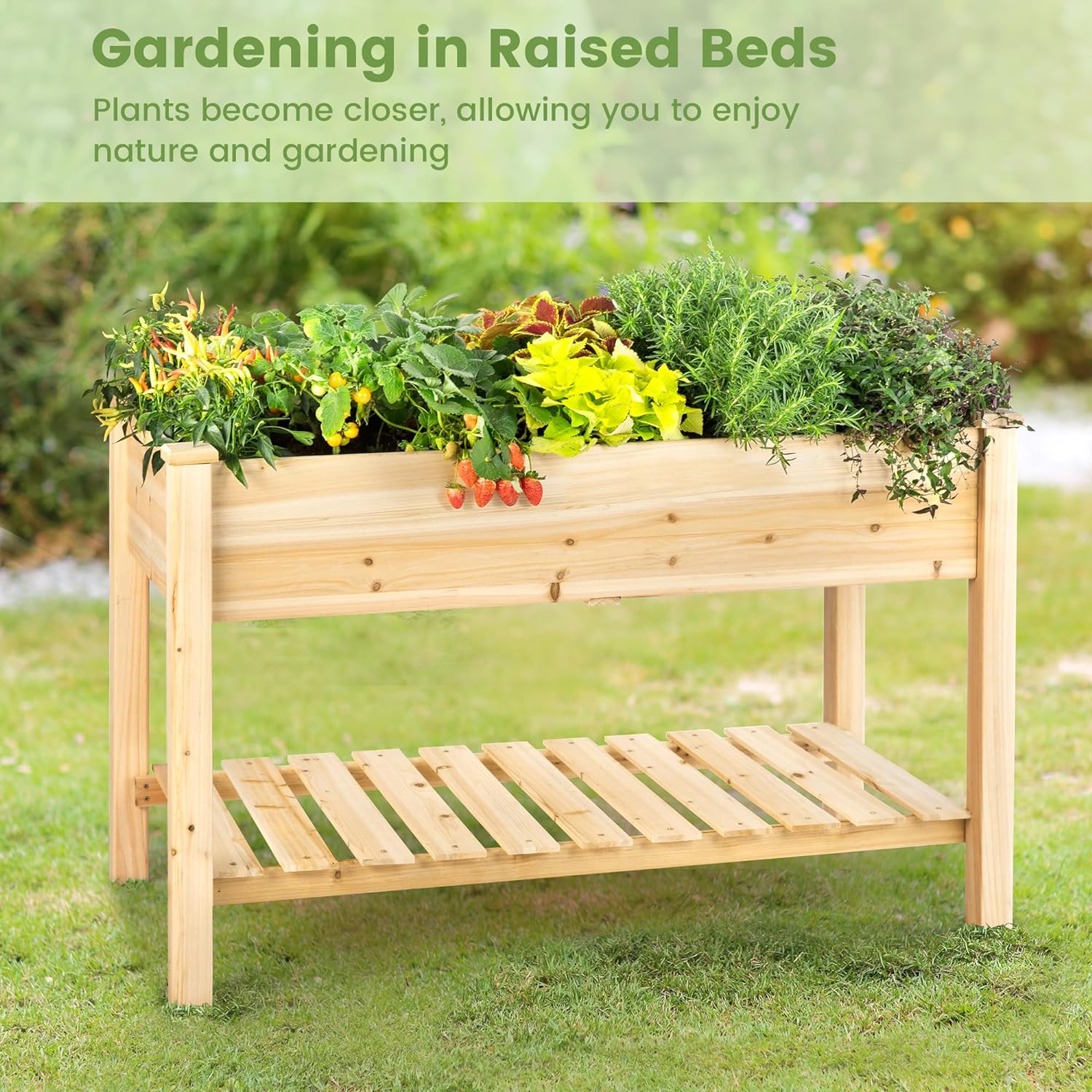 wooden raised garden bed